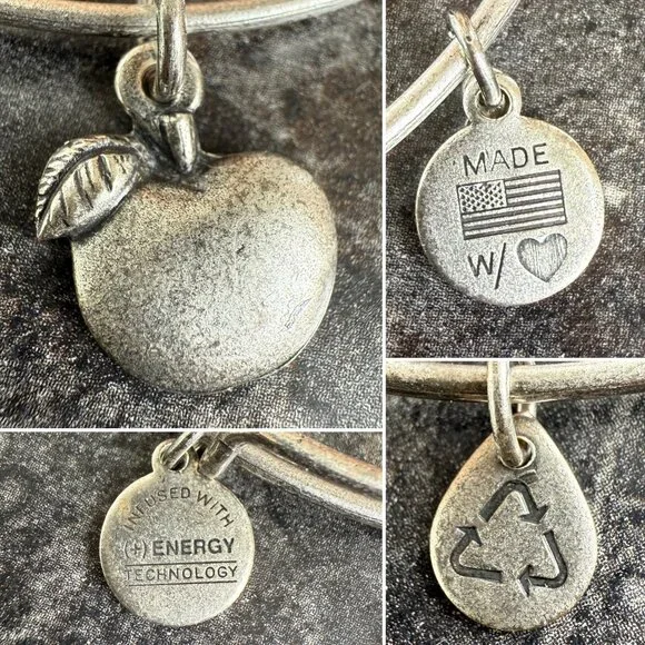 Alex and Ani Apple Charm Bracelet Silver Nature Expandable Bangle - Picture 2 of 14